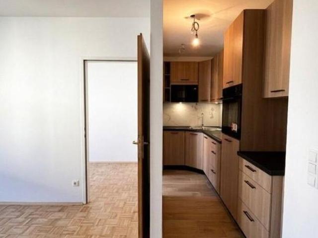Zu Vermieten 1 Schlafzimmer Wohnung Oberösterreich Oberösterreich DS104827591