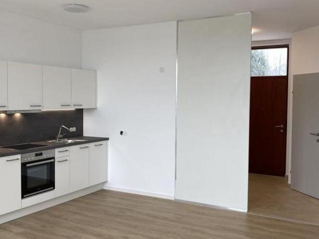 Zu Vermieten 1 Schlafzimmer Wohnung Oberösterreich Oberösterreich DS104960079