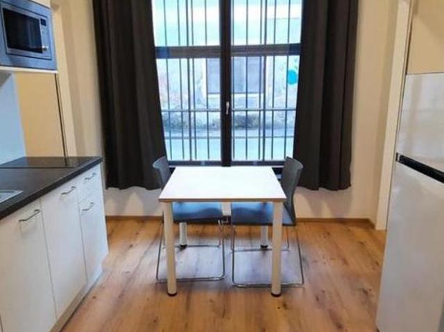 Zu Vermieten 1 Schlafzimmer Wohnung Oberösterreich Oberösterreich DS105054018