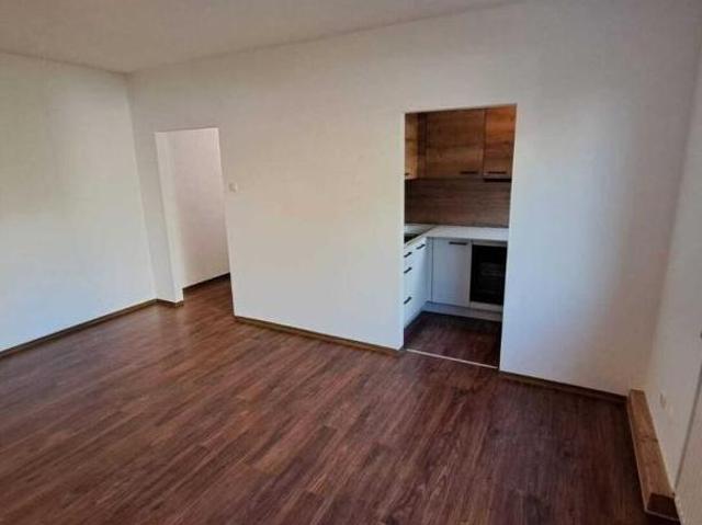 Zu Vermieten 1 Schlafzimmer Wohnung Oberösterreich Oberösterreich DS105037717