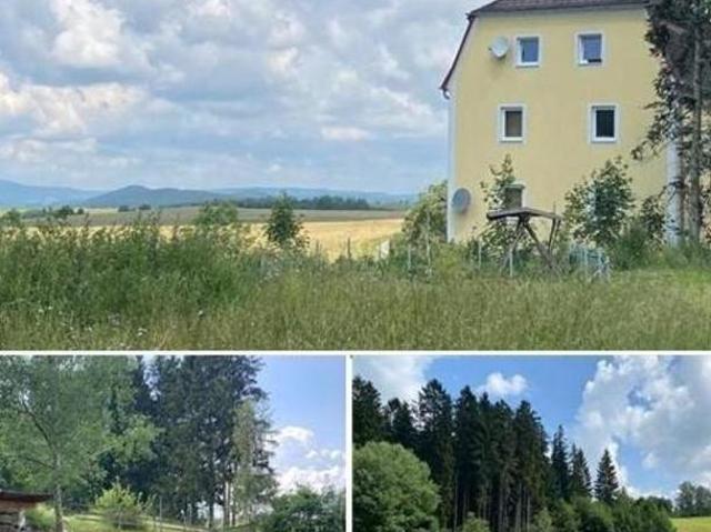 Zu Vermieten 1 Schlafzimmer Wohnung Oberösterreich Oberösterreich DS105111423