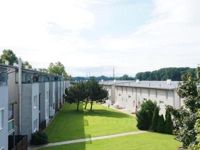 Zu Vermieten 1 Schlafzimmer Wohnung Oberösterreich Oberösterreich DS105284085