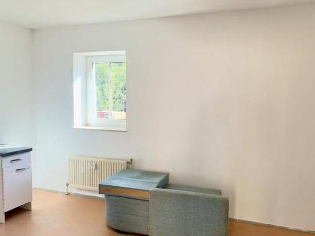 Zu Vermieten 1 Schlafzimmer Wohnung Oberösterreich Oberösterreich DS105380343