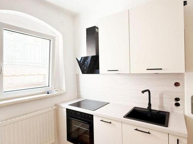 Zu Vermieten 1 Schlafzimmer Wohnung Oberösterreich Oberösterreich DS105489383