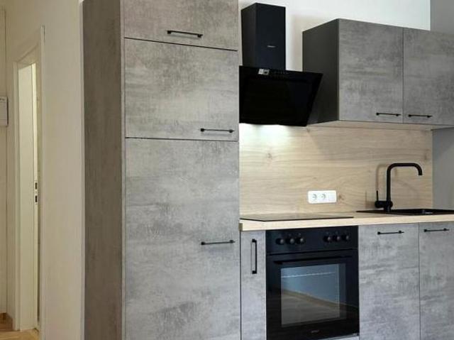Zu Vermieten 1 Schlafzimmer Wohnung Oberösterreich Oberösterreich DS105655830