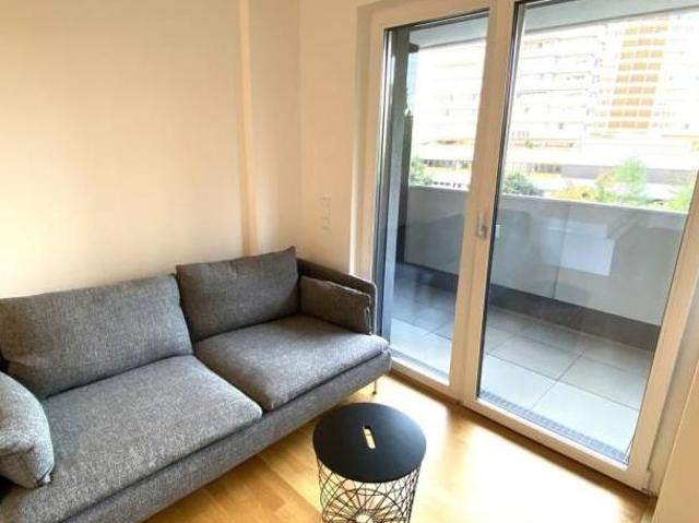 Zu Vermieten 1 Schlafzimmer Wohnung Oberösterreich Oberösterreich DS105907955