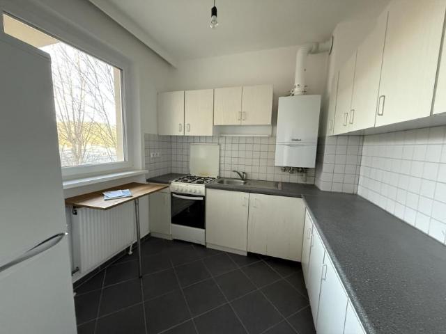 Zu Vermieten 1 Schlafzimmer Wohnung Purkersdorf AUT DLS99823734