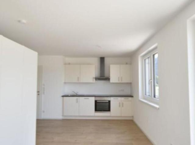 Zu Vermieten 1 Schlafzimmer Wohnung Salzburg Salzburg DS103881916