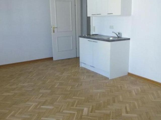 Zu Vermieten 1 Schlafzimmer Wohnung Salzburg Salzburg DS104367035