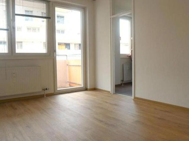 Zu Vermieten 1 Schlafzimmer Wohnung Salzburg Salzburg DS104785731
