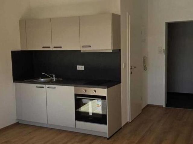 Zu Vermieten 1 Schlafzimmer Wohnung Salzburg Salzburg DS104827509