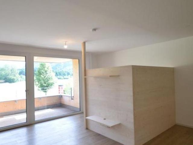 Zu Vermieten 1 Schlafzimmer Wohnung Salzburg Salzburg DS105051496