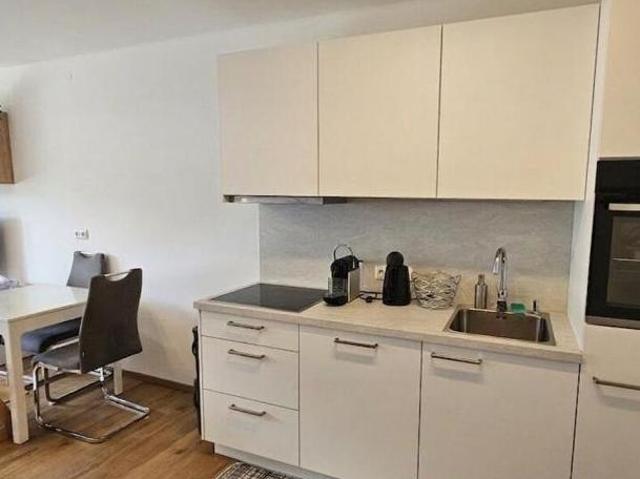 Zu Vermieten 1 Schlafzimmer Wohnung Salzburg Salzburg DS105037399