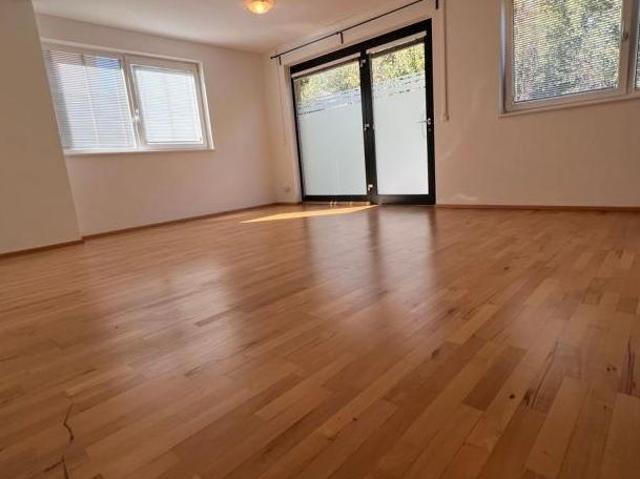Zu Vermieten 1 Schlafzimmer Wohnung Salzburg Salzburg DS105784643