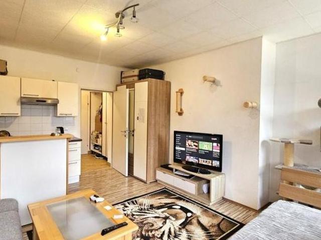 Zu Vermieten 1 Schlafzimmer Wohnung Salzburg Salzburg DS105824217