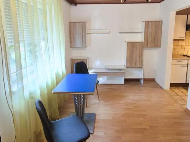 Zu Vermieten 1 Schlafzimmer Wohnung Salzburg Salzburg DS105925048