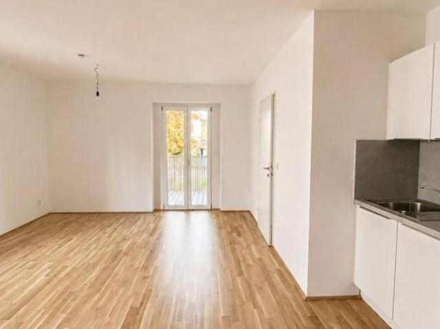 Zu Vermieten 1 Schlafzimmer Wohnung Salzburg Salzburg DS106098480