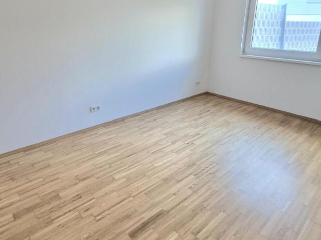Zu Vermieten 1 Schlafzimmer Wohnung Seekirchen Am Wallersee AUT DLS100701188