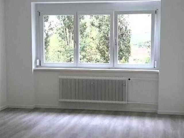Zu Vermieten 1 Schlafzimmer Wohnung Steiermark Steiermark DS103615435