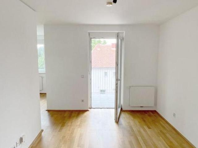 Zu Vermieten 1 Schlafzimmer Wohnung Steiermark Steiermark DS103696590