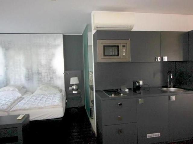 Zu Vermieten 1 Schlafzimmer Wohnung Steiermark Steiermark DS103924628