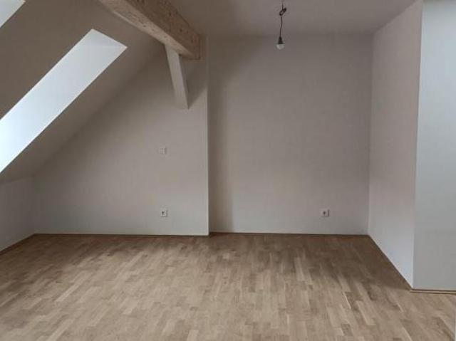 Zu Vermieten 1 Schlafzimmer Wohnung Steiermark Steiermark DS103962667