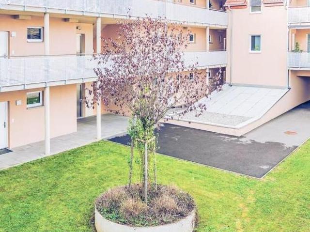 Zu Vermieten 1 Schlafzimmer Wohnung Steiermark Steiermark DS103962341