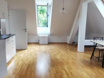 Zu Vermieten 1 Schlafzimmer Wohnung Steiermark Steiermark DS103358488