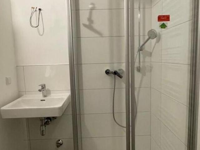 Zu Vermieten 1 Schlafzimmer Wohnung Steiermark Steiermark DS104641828