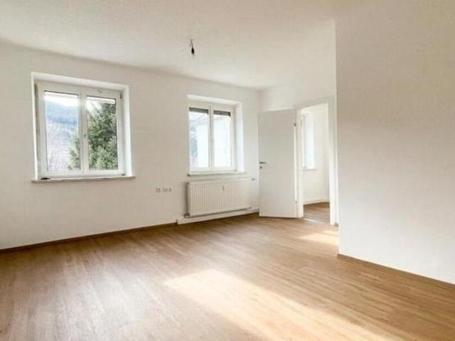 Zu Vermieten 1 Schlafzimmer Wohnung Steiermark Steiermark DS104890923
