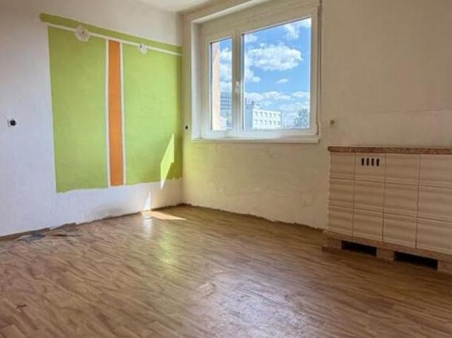 Zu Vermieten 1 Schlafzimmer Wohnung Steiermark Steiermark DS104975603