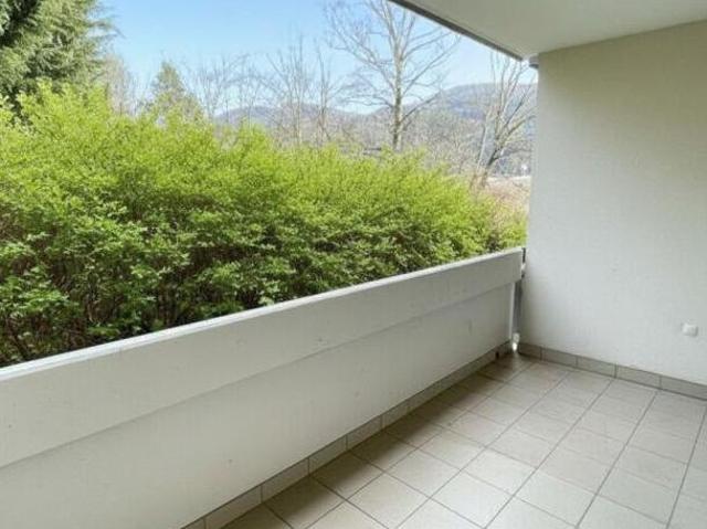 Zu Vermieten 1 Schlafzimmer Wohnung Steiermark Steiermark DS104227246