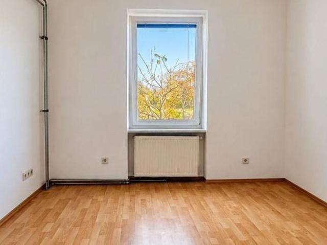 Zu Vermieten 1 Schlafzimmer Wohnung Steiermark Steiermark DS105760242