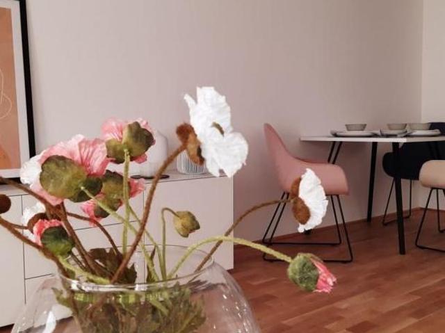 Zu Vermieten 1 Schlafzimmer Wohnung Steiermark Steiermark DS105760264