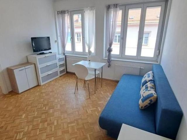 Zu Vermieten 1 Schlafzimmer Wohnung Steiermark Steiermark DS105784693