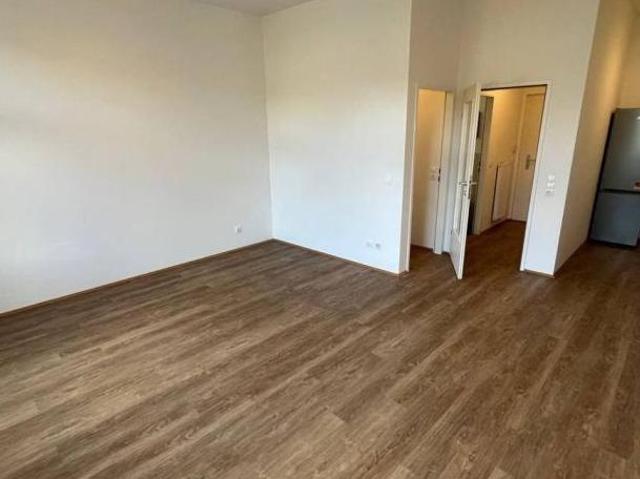 Zu Vermieten 1 Schlafzimmer Wohnung Steiermark Steiermark DS105862616