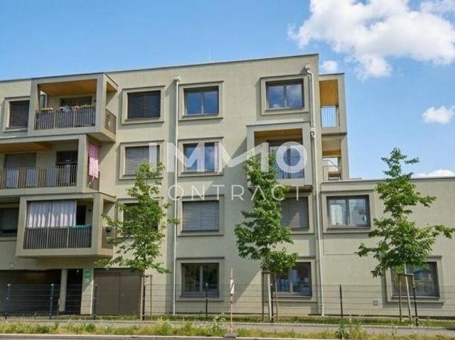 Zu Vermieten 1 Schlafzimmer Wohnung Steiermark Steiermark DS105053276