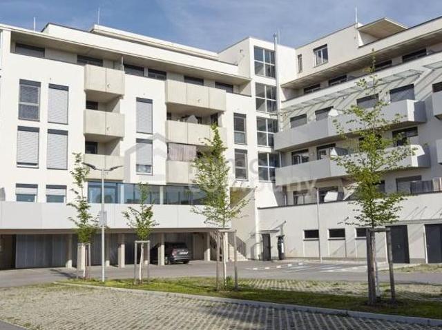 Zu Vermieten 1 Schlafzimmer Wohnung Steiermark Steiermark DS105056460