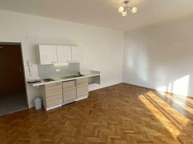Zu Vermieten 1 Schlafzimmer Wohnung Steiermark Steiermark DS105056479