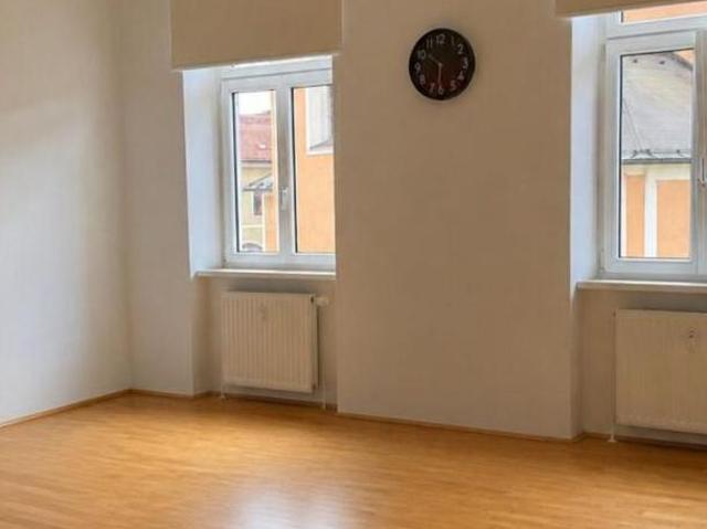 Zu Vermieten 1 Schlafzimmer Wohnung Steiermark Steiermark DS105056953