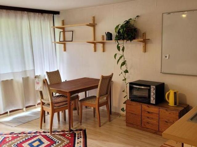 Zu Vermieten 1 Schlafzimmer Wohnung Steiermark Steiermark DS105137423