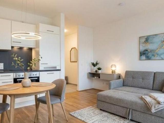 Zu Vermieten 1 Schlafzimmer Wohnung Steiermark Steiermark DS105152574