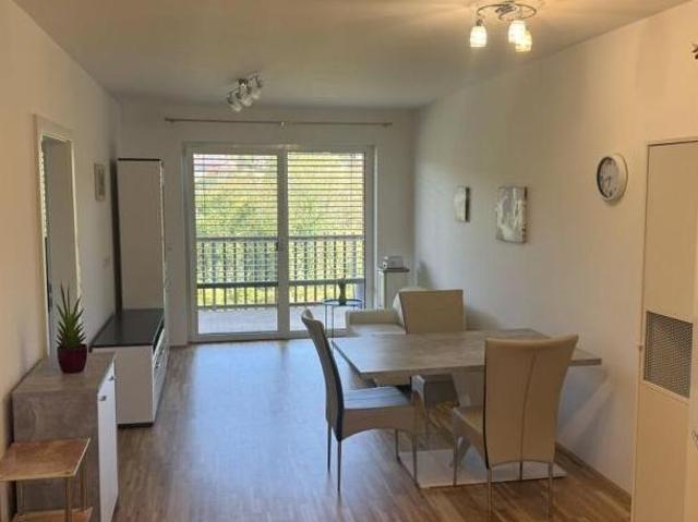 Zu Vermieten 1 Schlafzimmer Wohnung Steiermark Steiermark DS105361647