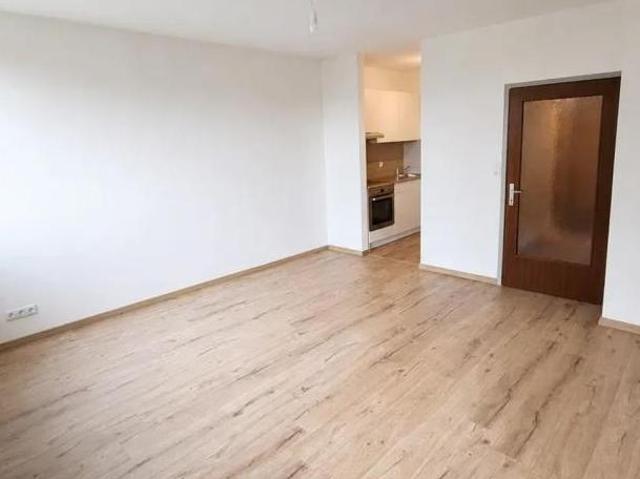 Zu Vermieten 1 Schlafzimmer Wohnung Steiermark Steiermark DS106034274