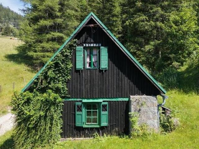Zu Vermieten 2 Schlafzimmer Haus Steiermark Steiermark DS105076737