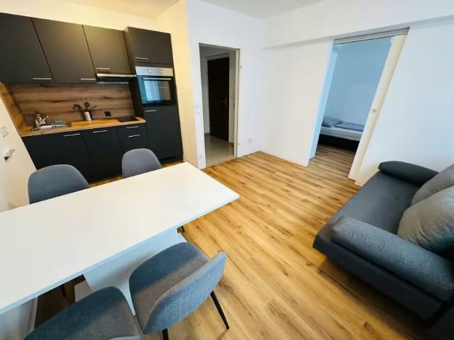 Zu Vermieten 2 Schlafzimmer Wohnung Vienna Vienna DLS98426906