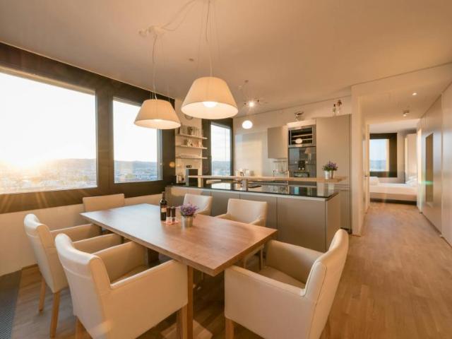 Zu Vermieten 2 Schlafzimmer Wohnung Vienna Vienna DS104536801