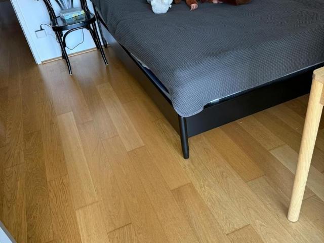 Zu Vermieten 2 Schlafzimmer Wohnung Vienna Vienna DS100605765