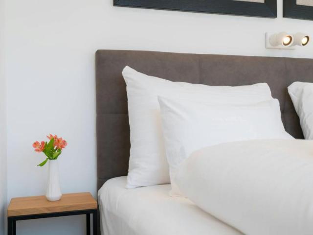 Zu Vermieten 2 Schlafzimmer Wohnung Vienna Vienna DS101643608