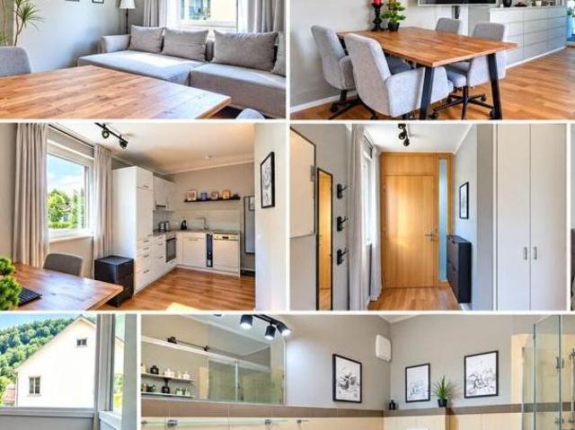 Zu Vermieten 2 Schlafzimmer Wohnung Vorarlberg Vorarlberg DS106007697
